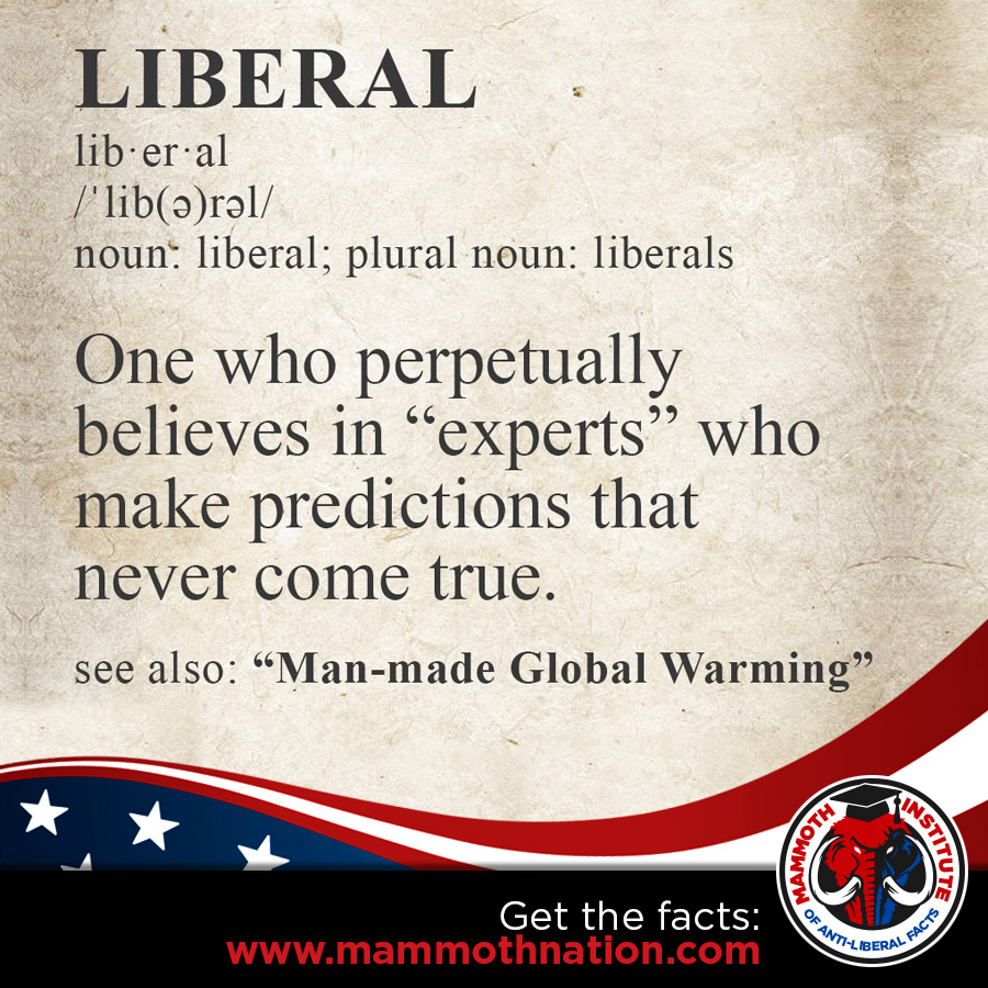 Liberal Definition - Experts