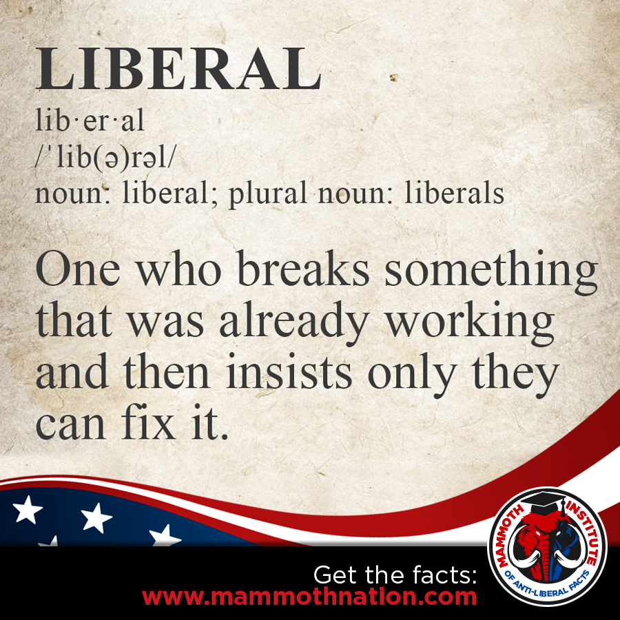 Liberal Definition - break