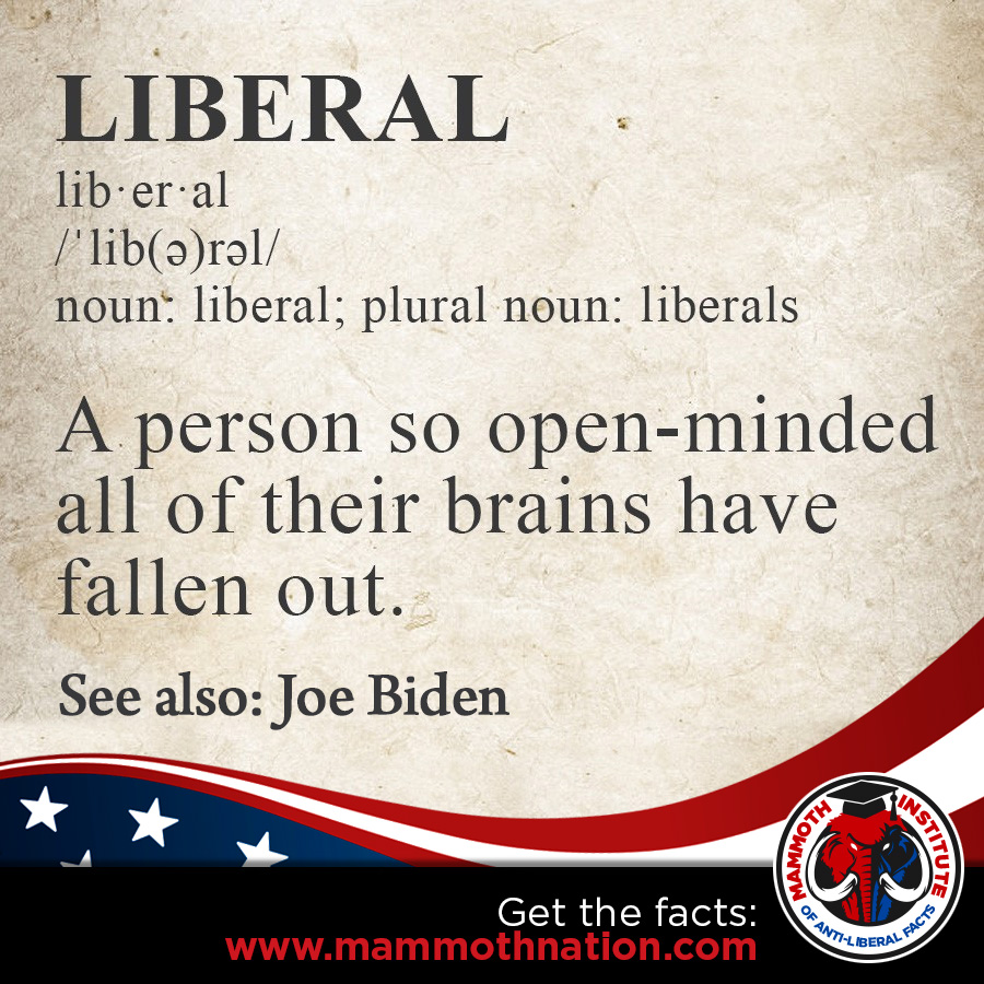 Liberal Definition - brains