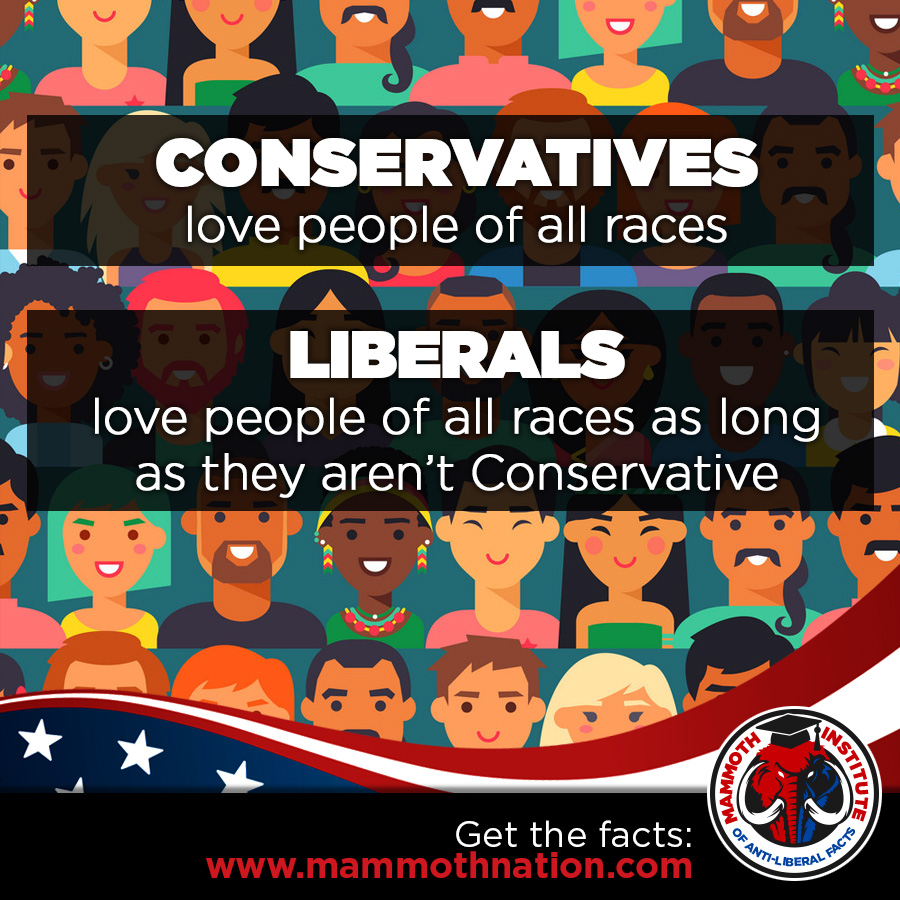 Liberal Racial Division