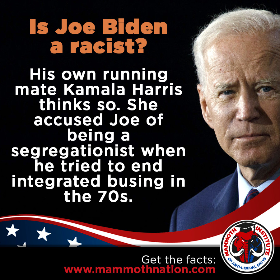 Is Joe Biden Racist?