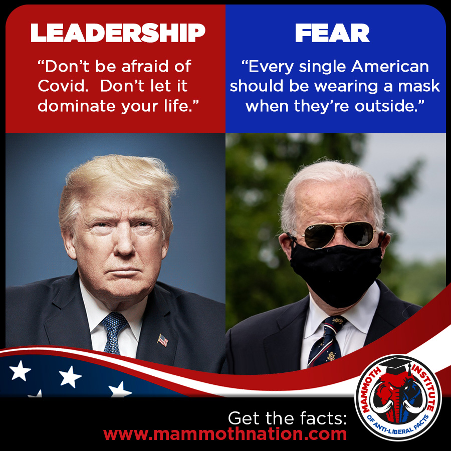 Leadership with trump vs Fear with Biden