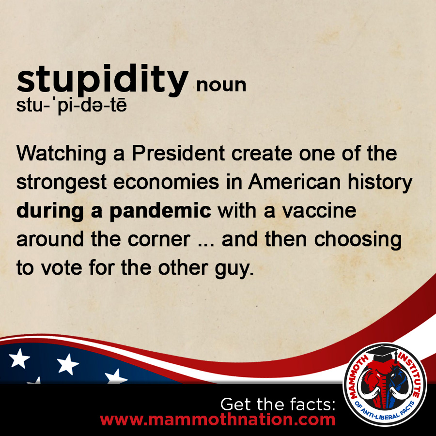 Definition of Stupidity