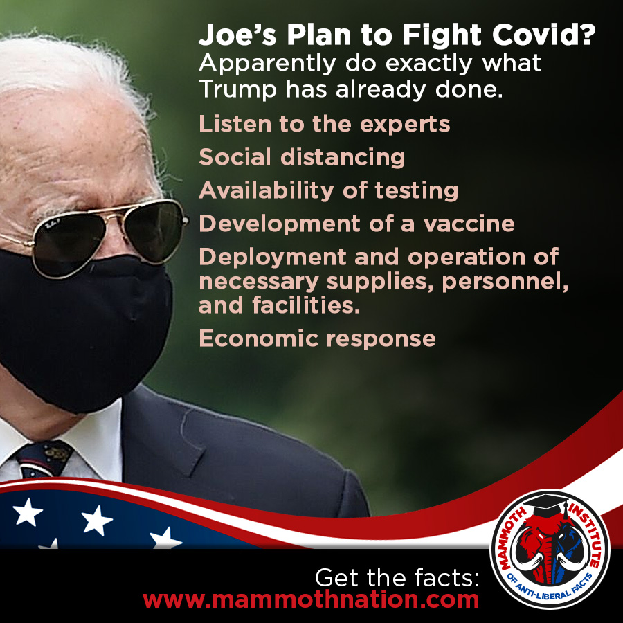 Biden with no real plan to fight covid