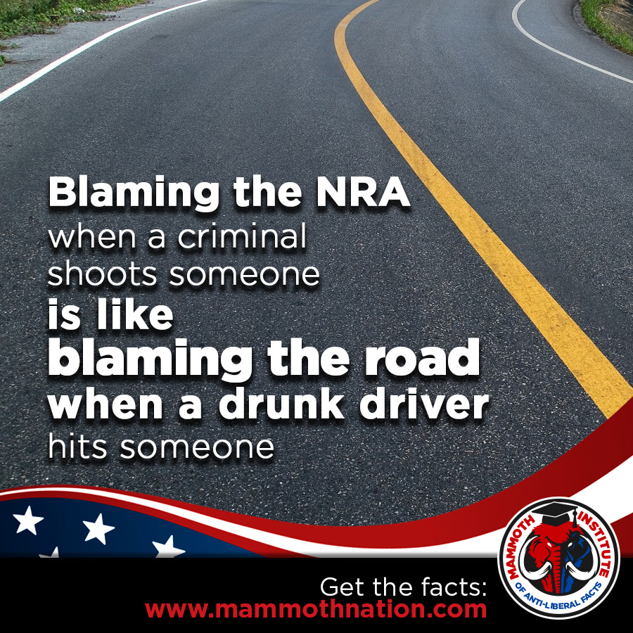 Blaming-NRA