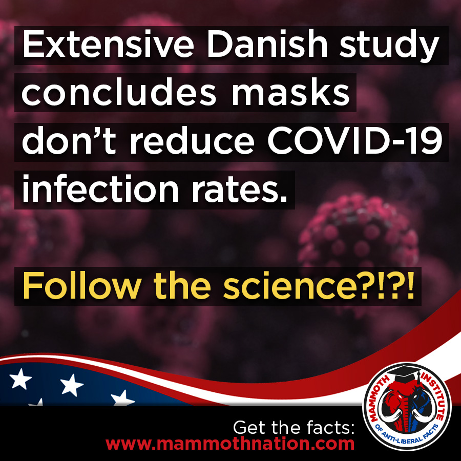 Danish Mask Study