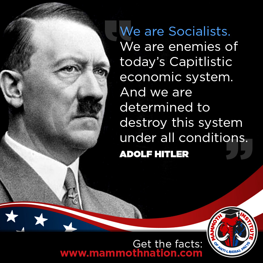 Dems are Socialist