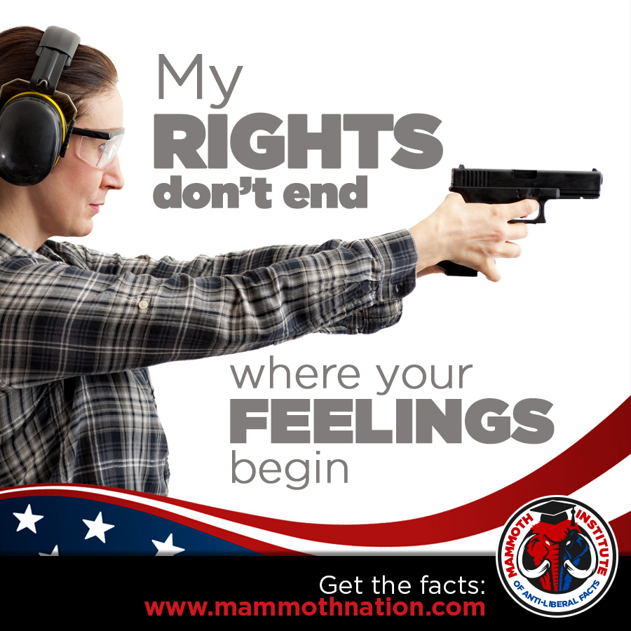 My Gun Rights