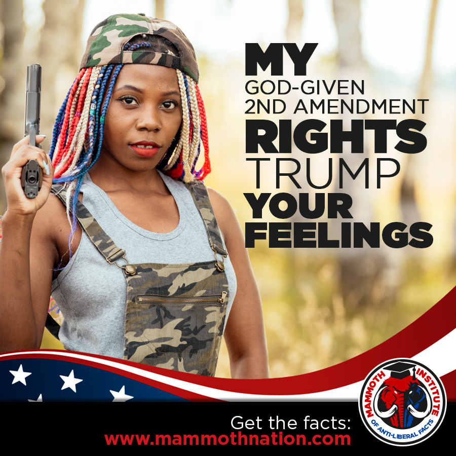 My 2A Rights Trump your feelings 