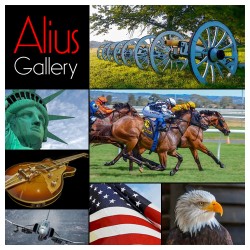 Alius Gallery