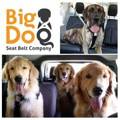 Big Dog Seat Belt Company