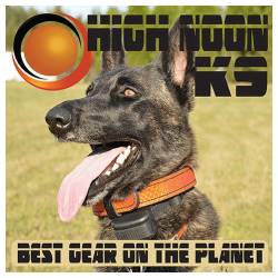 High Noon K9