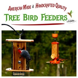 Tree Bird Feeders
