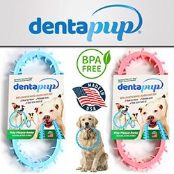 Dentapup