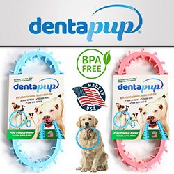 Dentapup