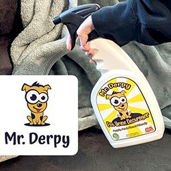 Mr. Derpy
