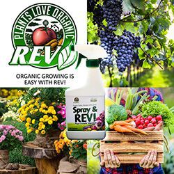 Organic REV