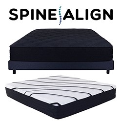SpineAlign®