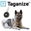 Taganize Contactless Dog Tag