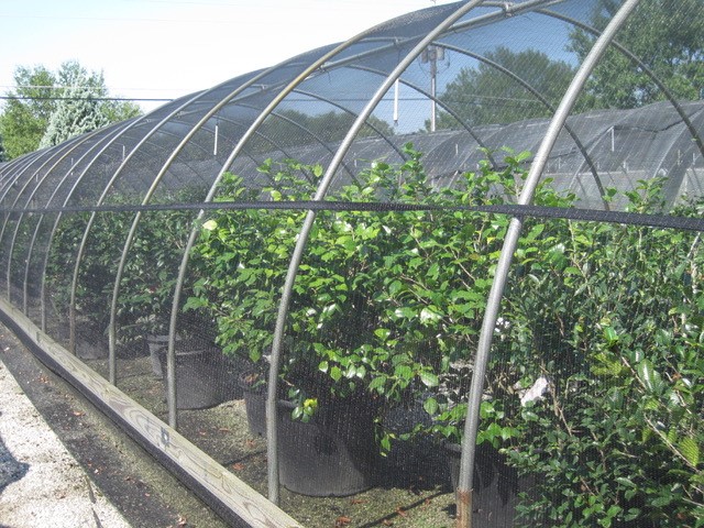 High Quality shade cloth from NETTEXX