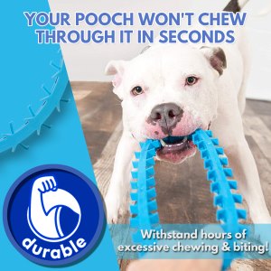 A dog toy that promotes dental hygiene, Dentapup
