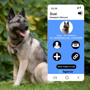 Innovative NFC pet ID tags to keep your furry friend safe with the Taganize Contactless Dog Tag