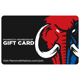e-Gift Card PLATINUM Membership