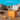 Focus 10-Travel Packs - Mammoth Nation