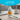 Focus Supplement for Mental Clarity and Concentration - Mammoth Nation
