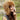 100% Baby Alpaca  RCMP Fur Hat With Earflaps Chullo
