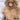 12" Alpaca Teddy Bears