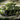 WWII - U.S. M4A3 Sherman Tank - Mil-Blox