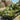 M109 Self Propelled Howitzer - Legendary Series - Mil-Blox