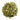 American Yaupon Organic