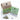 Citron Jasmine Green Tea Sachets