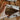 Countryside Cowhide Toiletry Bag