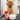 Treat Topper Beef Dog Food Topper | Powdered Meal Topper for Pets