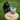 Fish Crumbles for Cats | All-Natural Fish Cat Treats