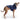 Reversible Elasto-Fit Raincoat - Navy