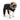 Creekside Snowsuit - Black