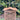 RadiantLight Diamond Breeze Block Landscape Light - Garden Light