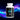 Cognitive Support: Premium Nootropics for Focus