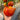 Goat's Bag, Tomato