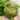 Basil, Garlic & Lemon Salt: PRESTO PESTO