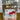 Dessert Mixes