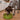 Pine Tree Christmas eBowl Deep Slow Feeder Dog Bowl for Enrichment | USA Made