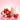 30G Protein Strawberries & Cream Biocare Dietary Beverage (14-Servings) - Mammoth Nation