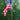 20' Telescoping Flagpole Kit - 100% Made in USA