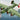 WWII - B-24 Liberator - Mil-Blox