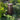 RadiantLight 27" tall ADDRESS MARKER Landscape Light - Garden Light